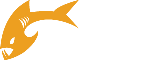 Payara Logo